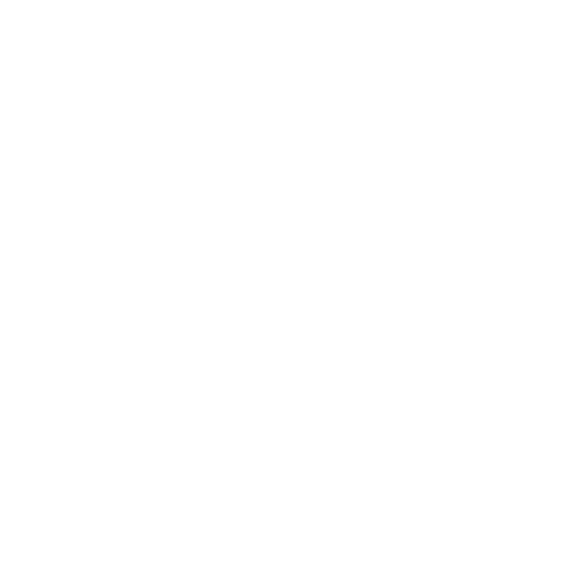 Icône blanche